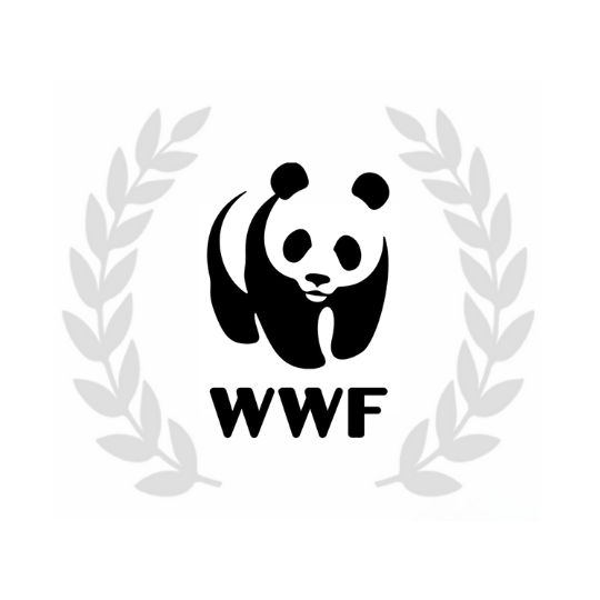 WWF Award - Climate Solver Leader recognition